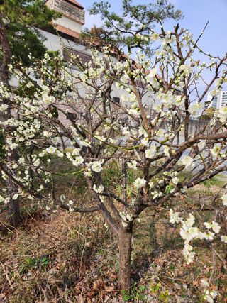 보은 김영순님의 자유주제 · 자유게시판 작성글 사진