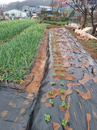 나누고싶어서님의 자유주제 · 자유게시판 작성글 사진