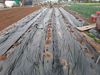 나누고싶어서님의 자유주제 · 자유게시판 작성글 사진