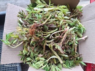 권순익님의 자유주제 · 자유게시판 작성글 사진