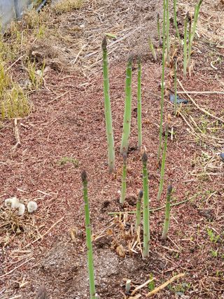 김시헌 님의 자유주제 · 자유게시판 작성글 사진