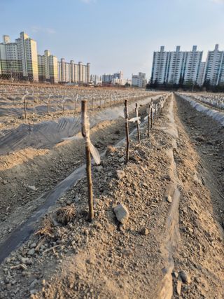 우리농원님의 자유주제 · 자유게시판 작성글 사진