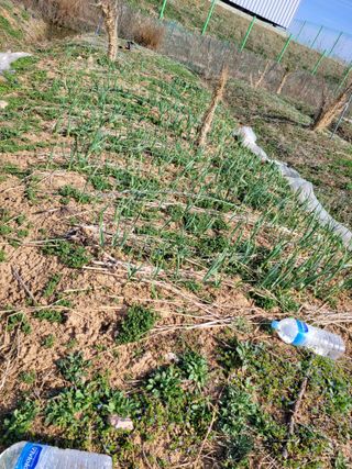 이연종님의 자유주제 · 자유게시판 작성글 사진