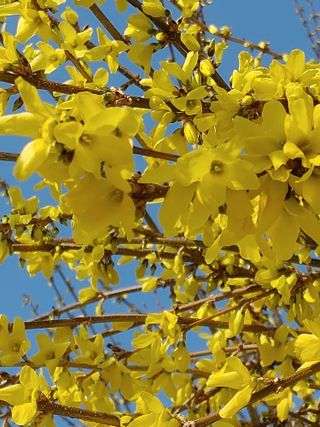 안길원님의 자유주제 · 자유게시판 작성글 사진