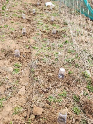 툇골짜기님의 자유주제 · 자유게시판 작성글 사진