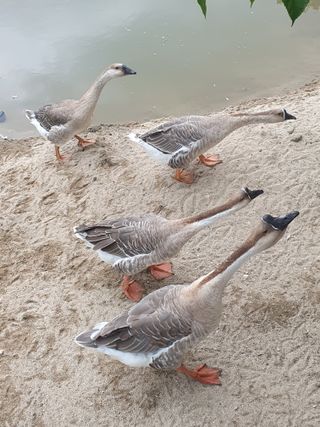 사과짱님의 자유주제 · 자유게시판 작성글 사진