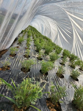 보은 김영순님의 자유주제 · 자유게시판 작성글 사진