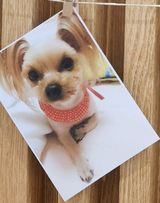 팜모닝 자유주제·자유게시판 게시글 이미지