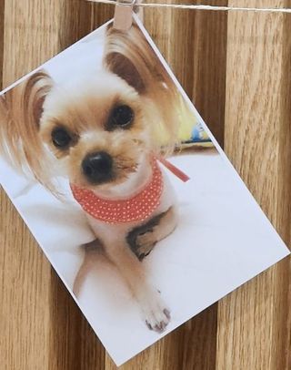 헤라여신^^♡님의 자유주제 · 자유게시판 작성글 사진