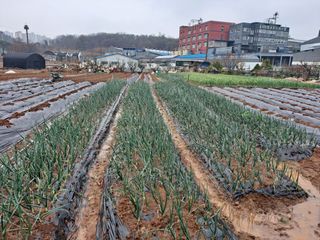 나누고싶어서님의 자유주제 · 자유게시판 작성글 사진