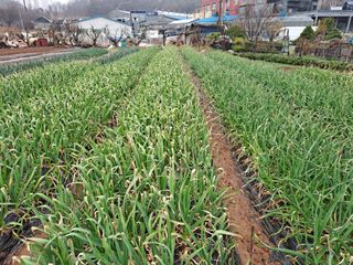 나누고싶어서님의 자유주제 · 자유게시판 작성글 사진