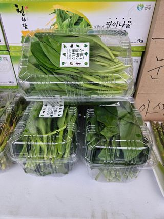 김시헌 님의 자유주제 · 자유게시판 작성글 사진