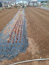 팜모닝 자유주제·자유게시판 게시글 이미지