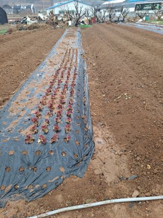 나누고싶어서님의 자유주제 · 자유게시판 작성글 사진