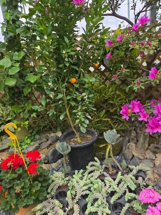 강원사랑인님의 자유주제 · 자유게시판 작성글 사진