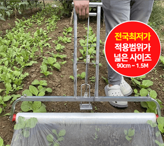 다이쏘(권자영)님의 작성글 사진