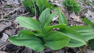 여우내 이순홍님의 작성글 사진