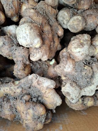 초원에빛님의 기타작물 · 자유게시판 작성글 사진