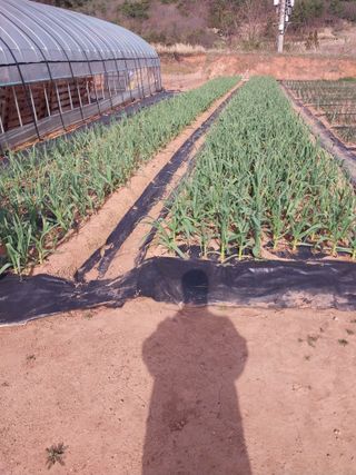 순덕님의 자유주제 · 자유게시판 작성글 사진