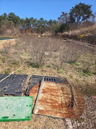 이성욱 님의 자유주제 · 건의해요 작성글 사진