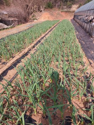 순덕님의 자유주제 · 자유게시판 작성글 사진