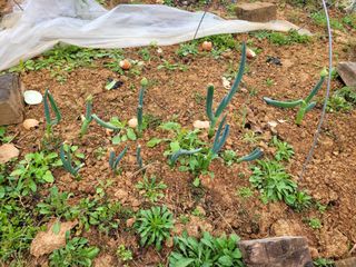 이연종님의 자유주제 · 자유게시판 작성글 사진