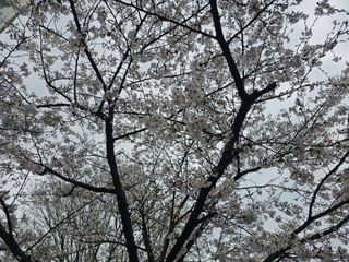 백용기님의 자유주제 · 자유게시판 작성글 사진