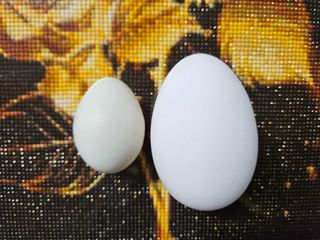 사과짱님의 자유주제 · 자유게시판 작성글 사진