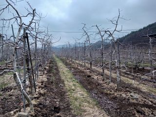 알 수 없음님의 자유주제 · 자유게시판 작성글 사진