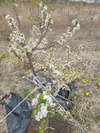 리얼팜님의 자유주제 · 자유게시판 작성글 사진