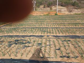 순덕님의 자유주제 · 자유게시판 작성글 사진