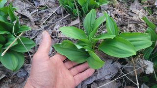 여우내 이순홍님의 작성글 사진