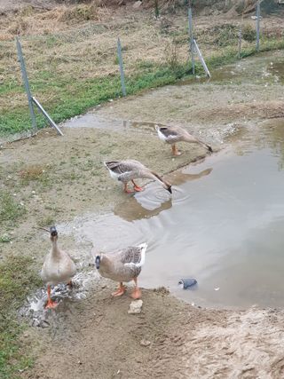 사과짱님의 자유주제 · 자유게시판 작성글 사진