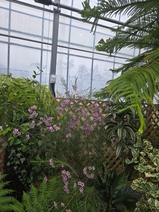 강원사랑인님의 자유주제 · 자유게시판 작성글 사진