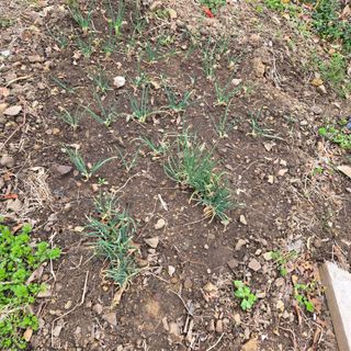 양배추21889님의 자유주제 · 건의해요 작성글 사진