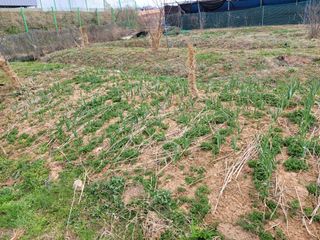 이연종님의 자유주제 · 자유게시판 작성글 사진