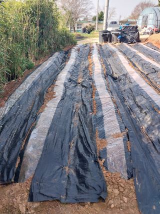 순덕님의 자유주제 · 자유게시판 작성글 사진