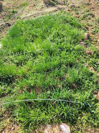 이연종님의 자유주제 · 자유게시판 작성글 사진