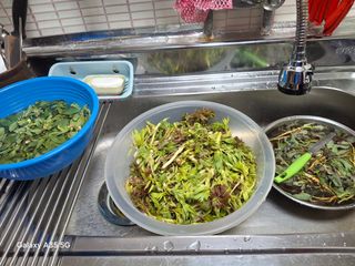 권순익님의 자유주제 · 자유게시판 작성글 사진