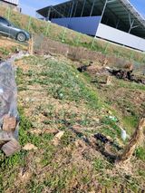 팜모닝 자유주제·자유게시판 게시글 이미지