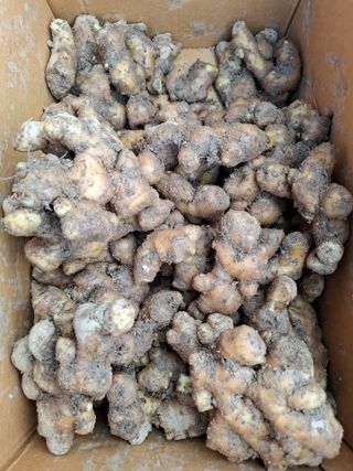 초원에빛님의 기타작물 · 자유게시판 작성글 사진