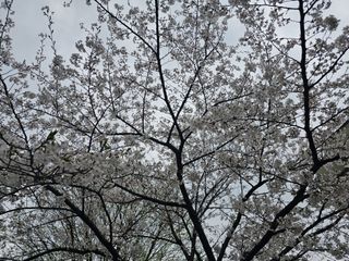 백용기님의 자유주제 · 자유게시판 작성글 사진