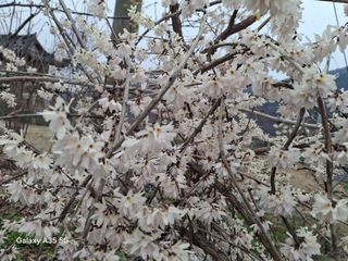 권순익님의 자유주제 · 자유게시판 작성글 사진