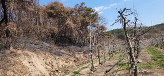 전길용님의 자유주제 · 사진전 작성글 사진