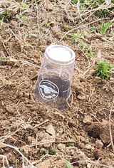 팜모닝 자유주제·자유게시판 게시글 이미지