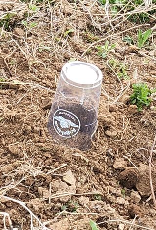 툇골짜기님의 자유주제 · 자유게시판 작성글 사진