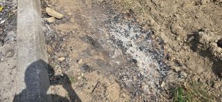 박성준님의 자유주제 · 자유게시판 작성글 사진