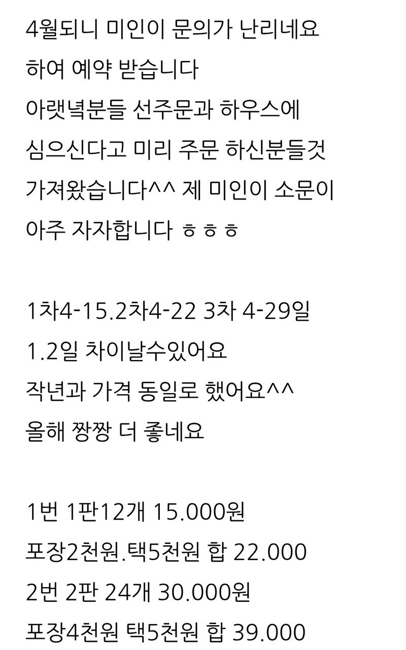 삼성농산님의 장터 판매 상품 [(마감)미인고추 3판만 큰포트 예약] 첨부 사진
