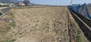 박성준님의 자유주제 · 자유게시판 작성글 사진