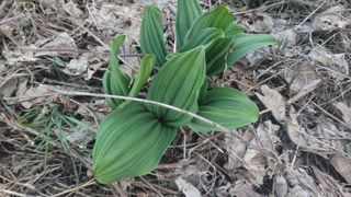 여우내 이순홍님의 작성글 사진